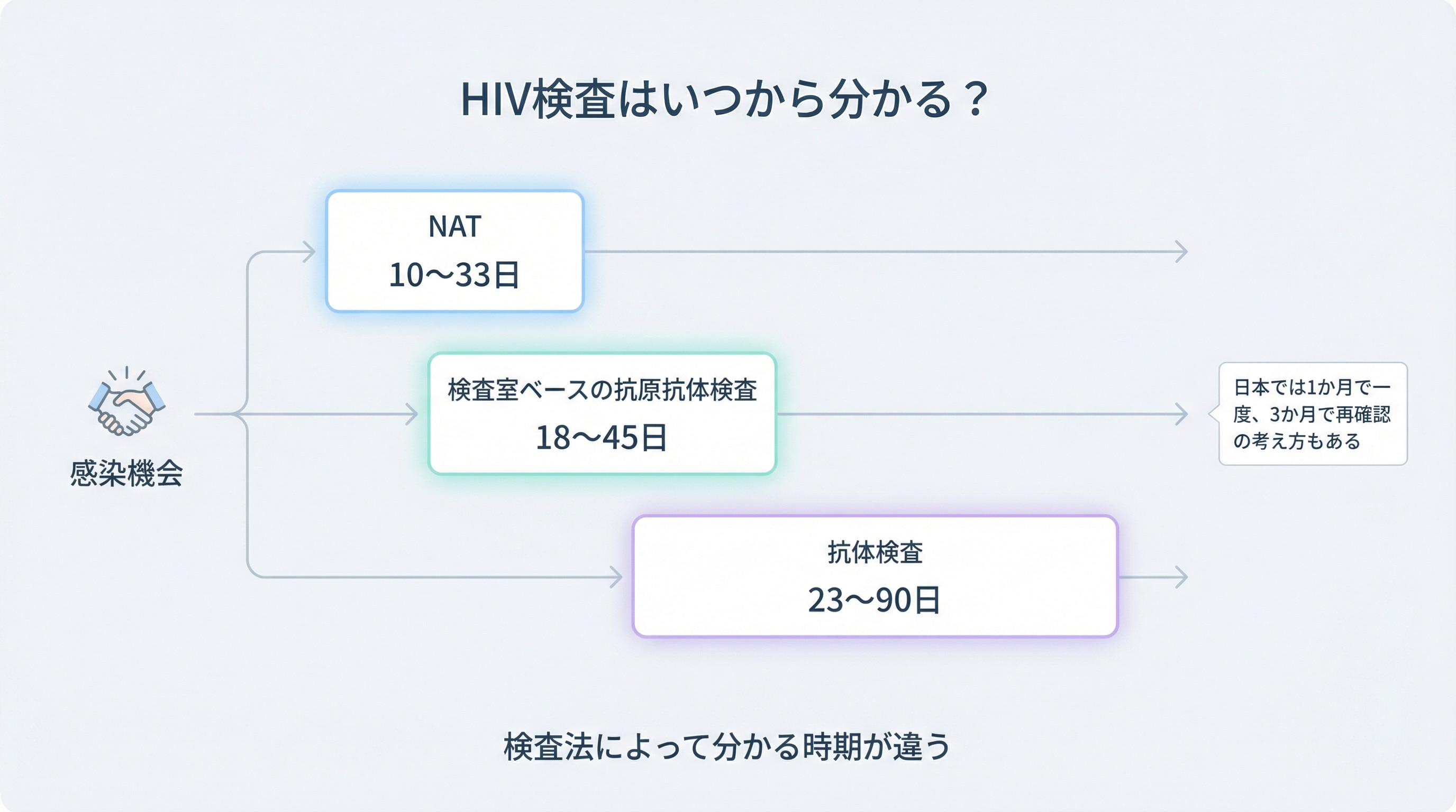 HIV検査はいつから分かる？検査法ごとの検出可能時期のタイムライン